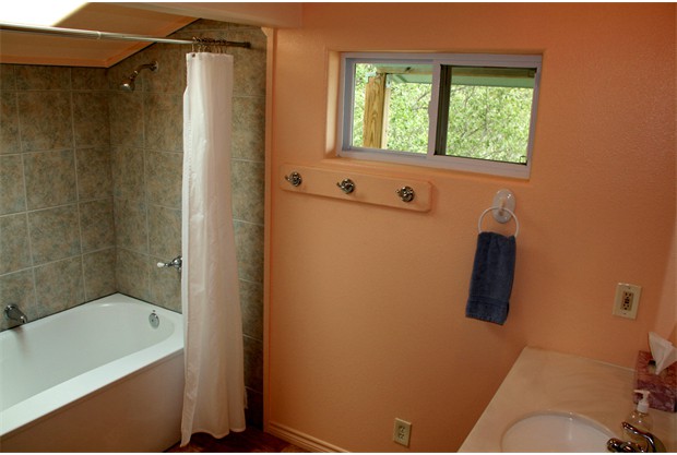 Bathroom with skylight over oversize bath tub and shower